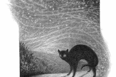 When-I-Look-at-the-Stars