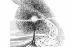 When-a-Chill-Sea-Wind